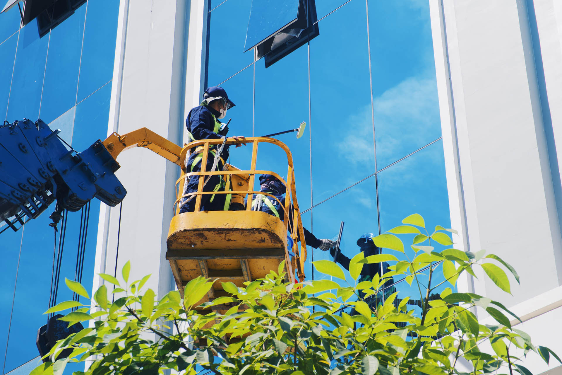 Professional cleaning services