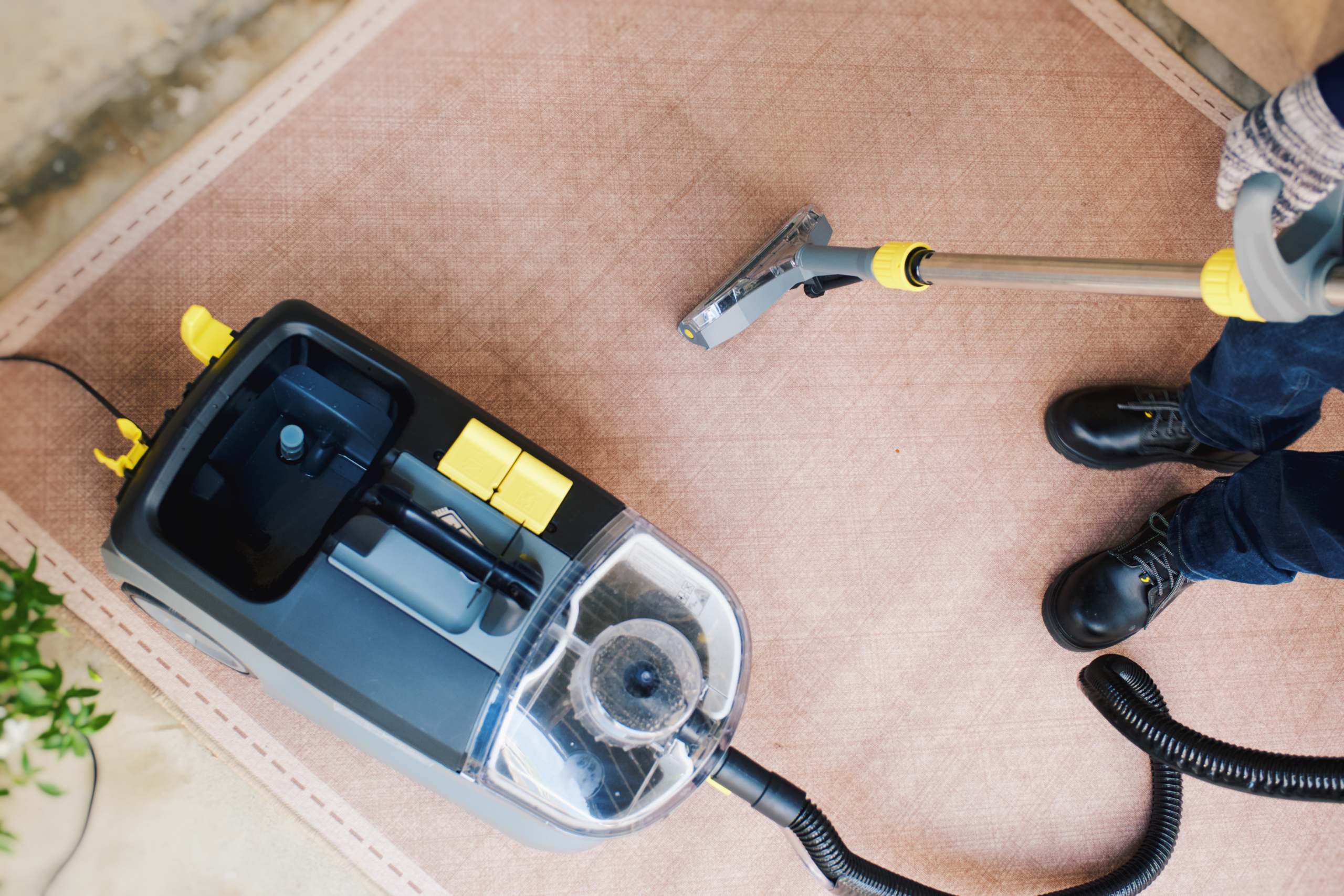 What Your Carpet Is Hiding
